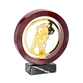 Kauss judo disks